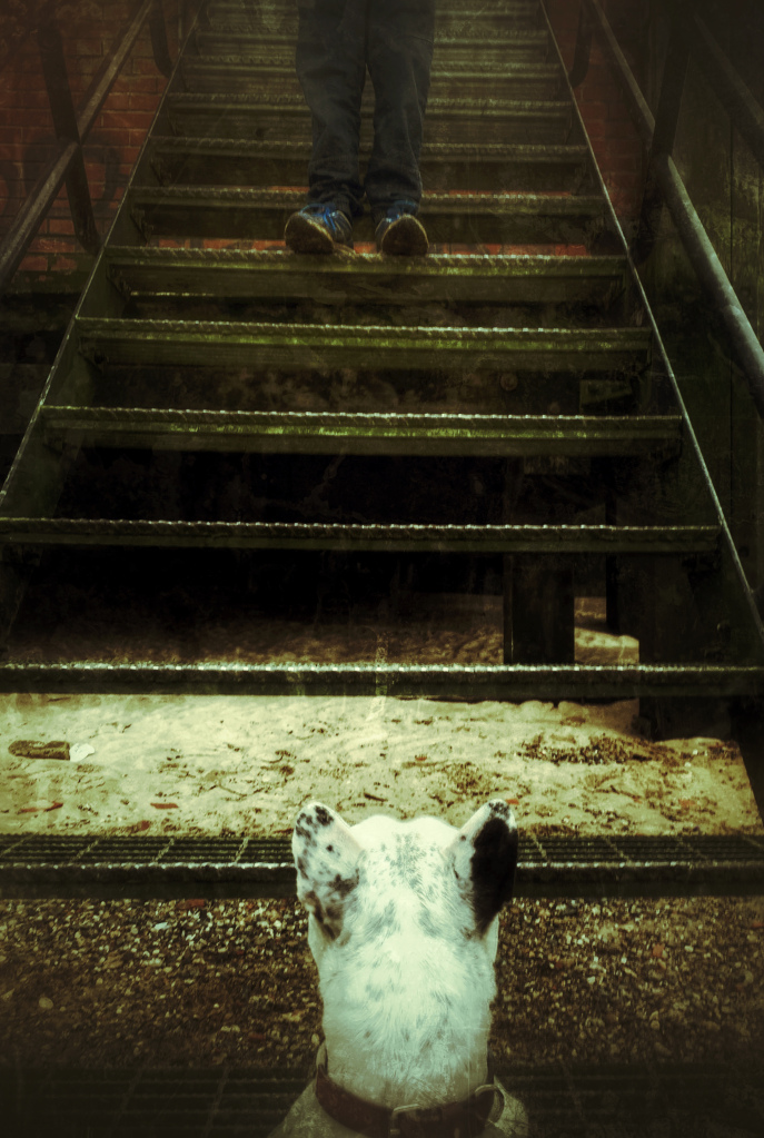 Justine's photo prompt