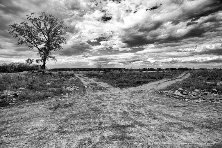 DSC_5836_4038 - 2012-04-22 at 14-24-02