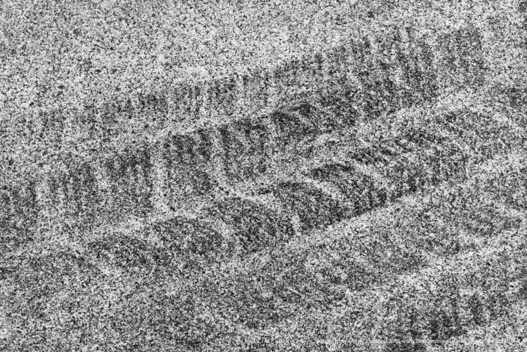 “toto, I have a feeling we're not in kansas anymore.” ― l. frank baum