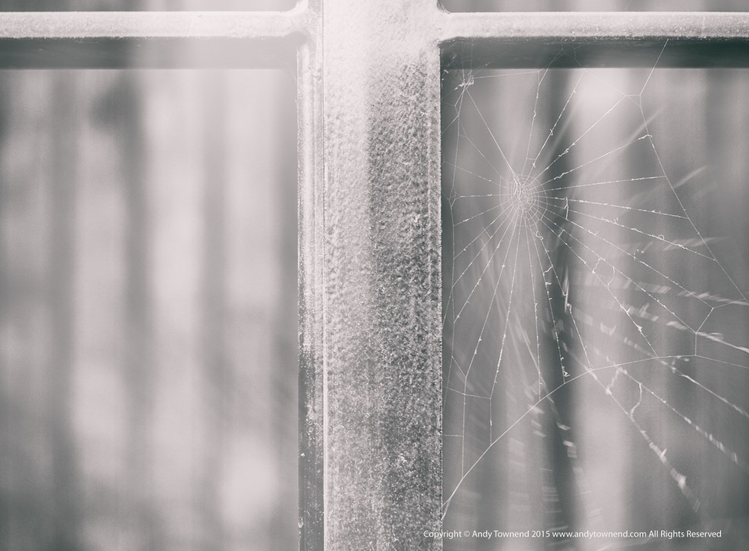 "eEvery man's work, pursued steadily, tends in this way to become an end in itself, and so to bridge over the loveless chasms of his life”  ― george eliot