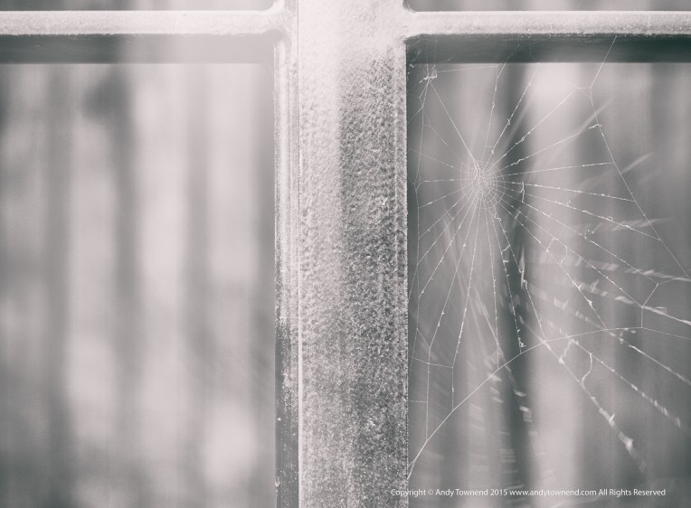 "eEvery man's work, pursued steadily, tends in this way to become an end in itself, and so to bridge over the loveless chasms of his life” ― george eliot