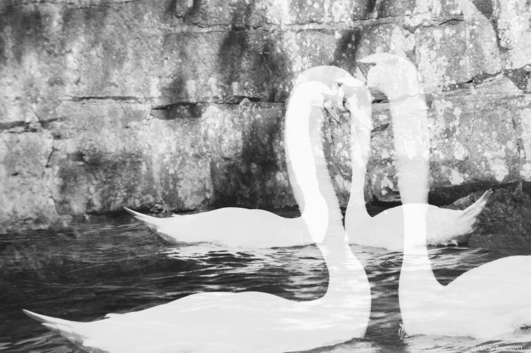 2015_04_18_01463-Edit-Edit