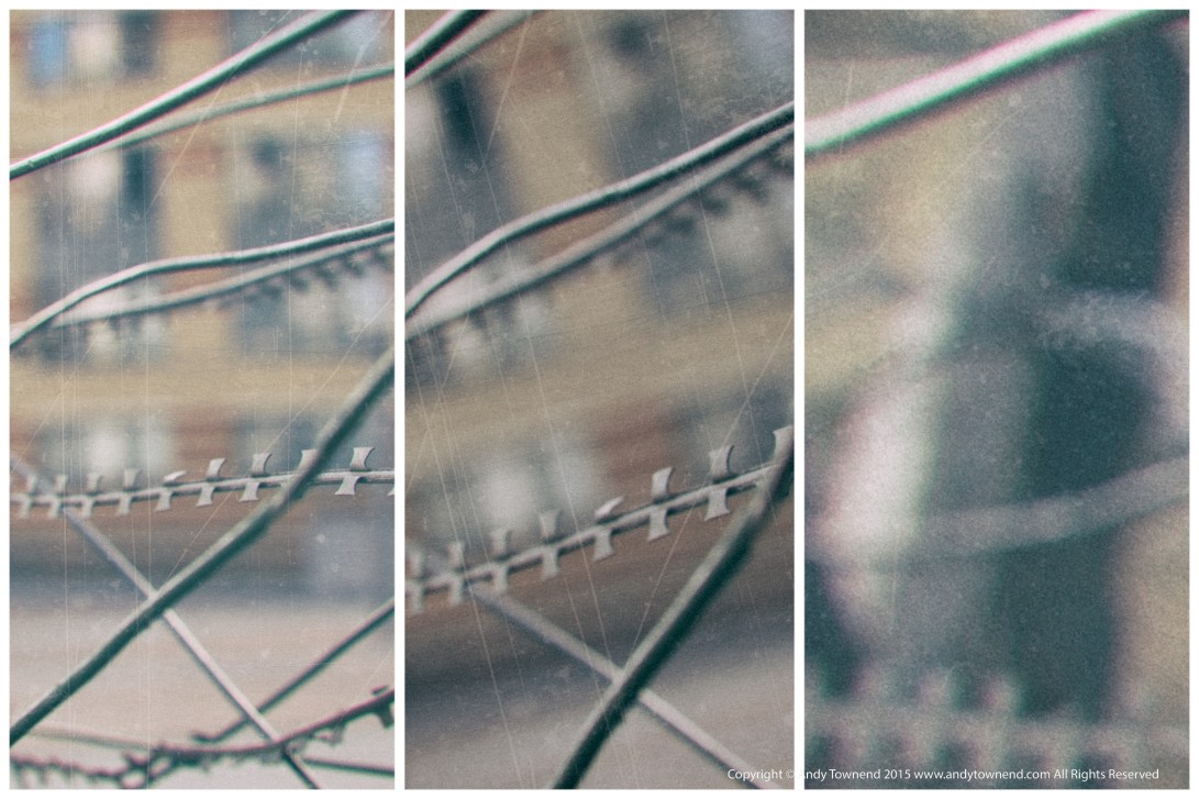 “the ache for home lives in all of us the safe place where we can go as we are and not be questioned”   ― maya angelou,