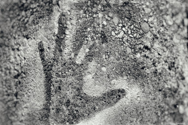 atownend_2015_05_15_7009-Edit