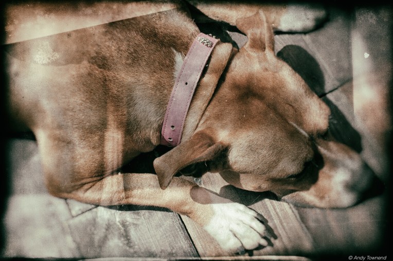 atownend_2015_05_16_00941-Edit