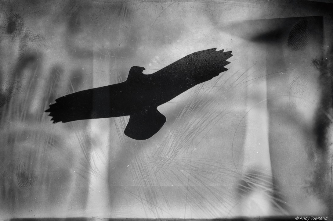 2015_07_03_02682-Edit