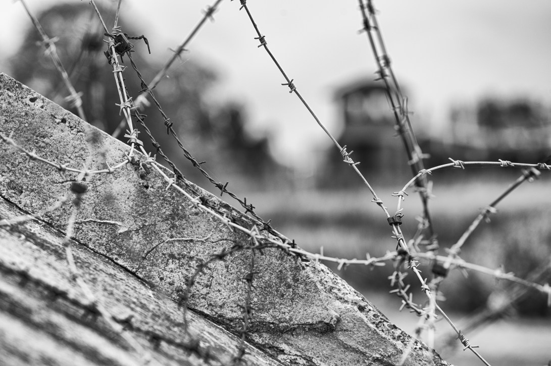 2015_07_12_03497-Edit