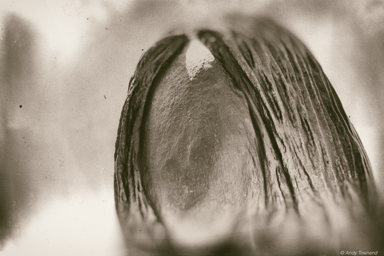 atownend_2015_05_16_7246-Edit