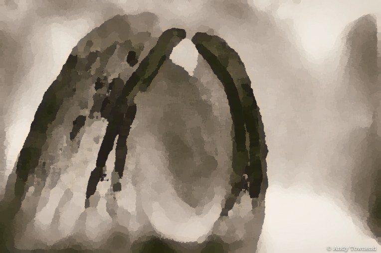 atownend_2015_05_16_7246-edit-Edit