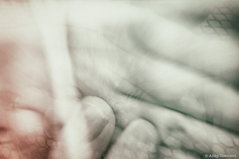 2015_07_05_03208-Edit-Edit