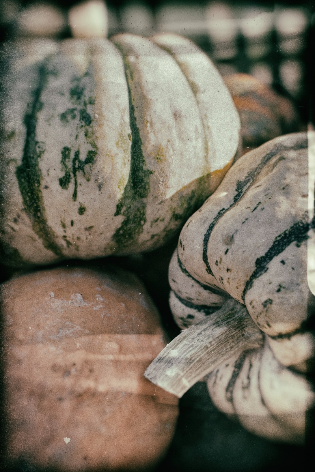 2015_10_02_04354-Edit