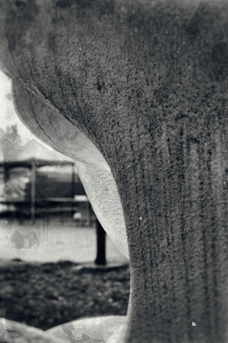 2015_10_02_04376-Edit