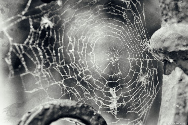 atownend_2015_05_17_7364-Edit-Edit