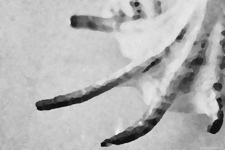 2016_04_24_13113-Edit-Edit-Edit