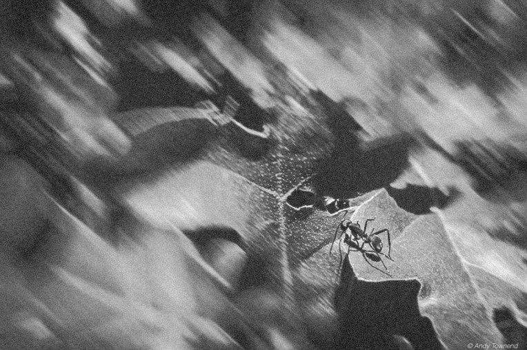 2016_05_01_13127-Edit-Edit-2