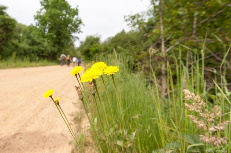 2016_06_05_Image # (00001)14671