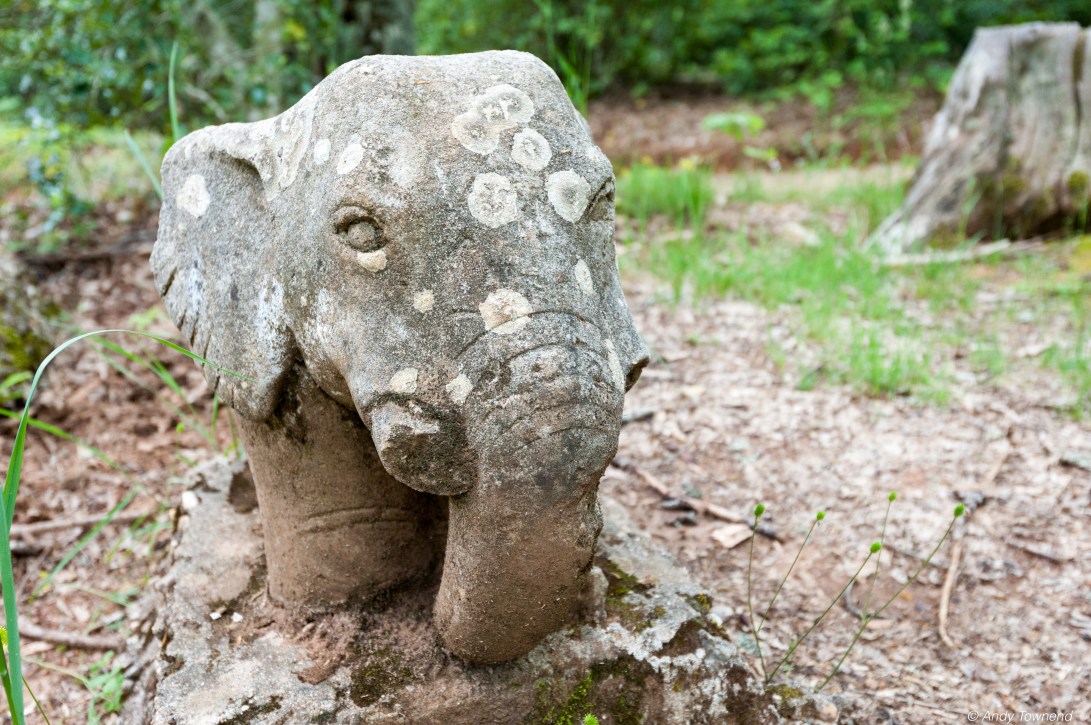 2016_06_05_Image # (00001)14693