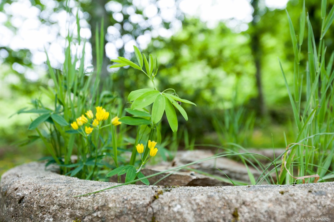 2016_06_05_Image # (00001)14707