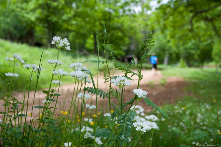 2016_06_05_Image # (00001)14720