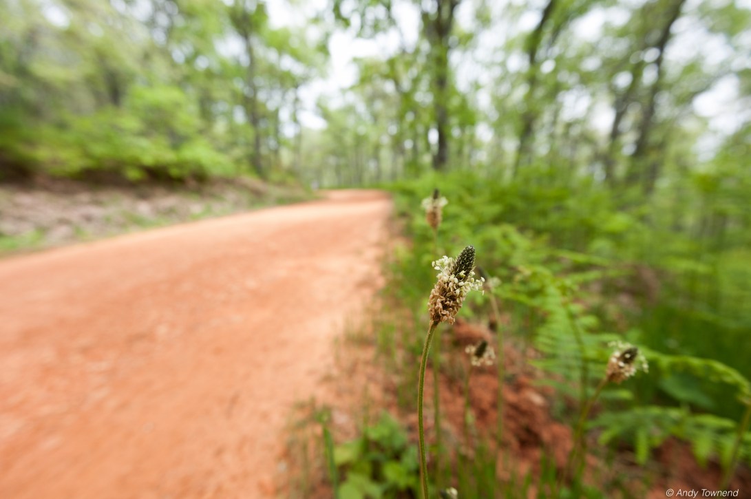 2016_06_05_Image # (00001)14768